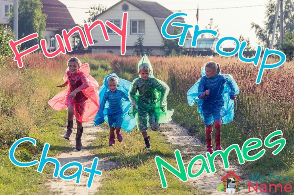 funny-group-chat-names.jpg